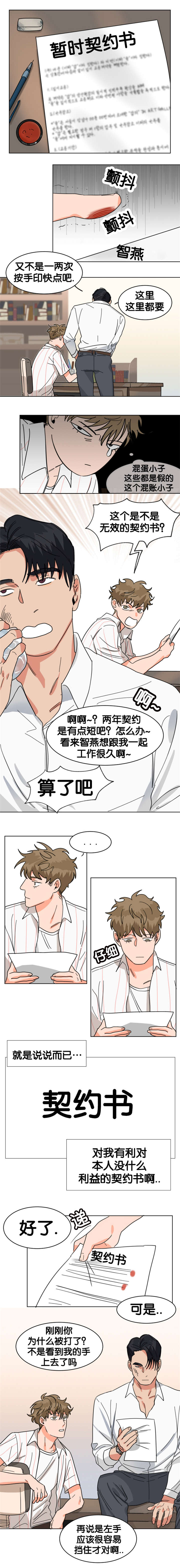 《智燕》漫画最新章节第15章：契约书免费下拉式在线观看章节第【3】张图片