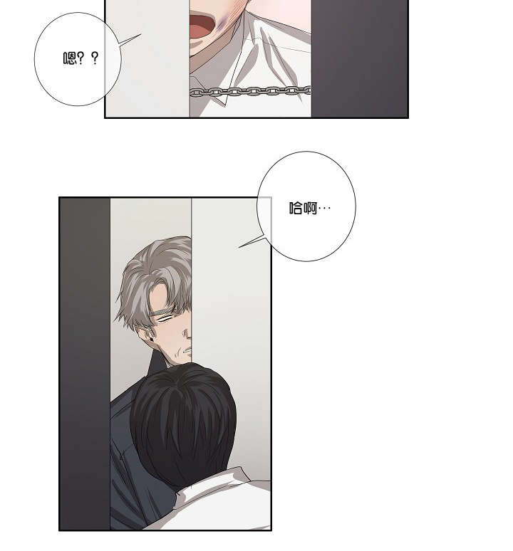 《间谍营救》漫画最新章节第35章：发现可疑之处免费下拉式在线观看章节第【24】张图片