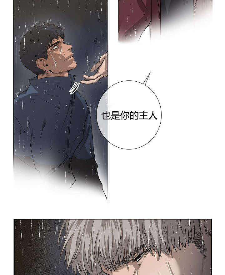 《间谍营救》漫画最新章节第39章：最后的战斗（下）免费下拉式在线观看章节第【5】张图片