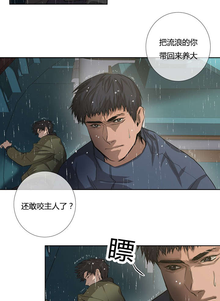 《间谍营救》漫画最新章节第39章：最后的战斗（下）免费下拉式在线观看章节第【33】张图片