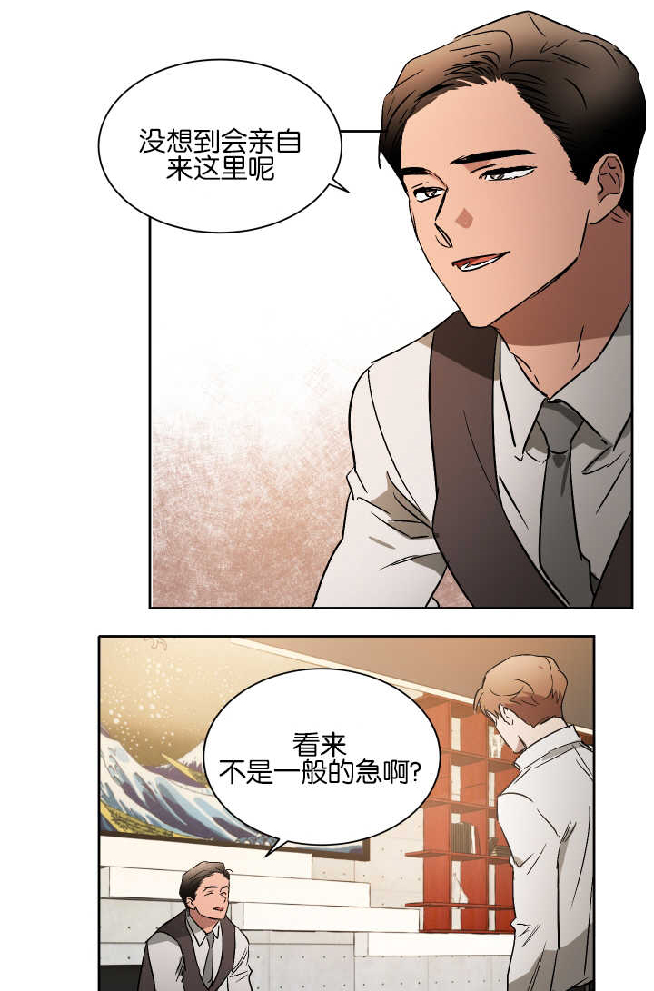 《青云而上》漫画最新章节第52章：他的绯闻免费下拉式在线观看章节第【13】张图片