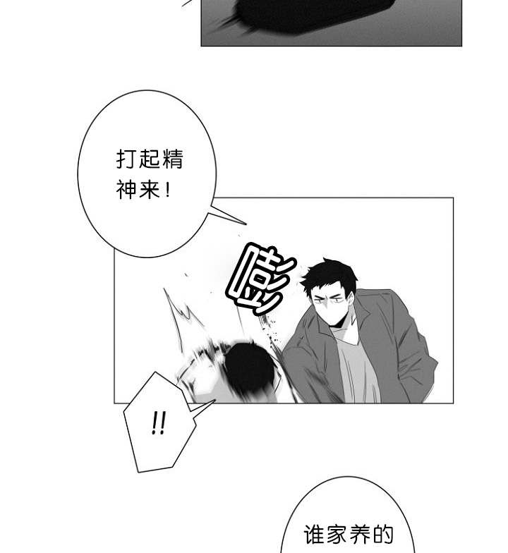 《近凶》漫画最新章节第7章：又一起凶杀案免费下拉式在线观看章节第【9】张图片