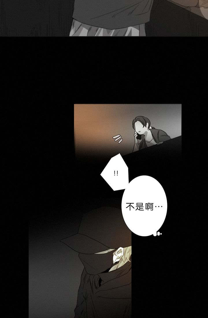 《近凶》漫画最新章节第11章：目击案发现场免费下拉式在线观看章节第【15】张图片