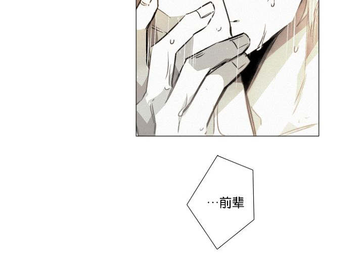 《近凶》漫画最新章节第20章：重聚的幸福免费下拉式在线观看章节第【10】张图片