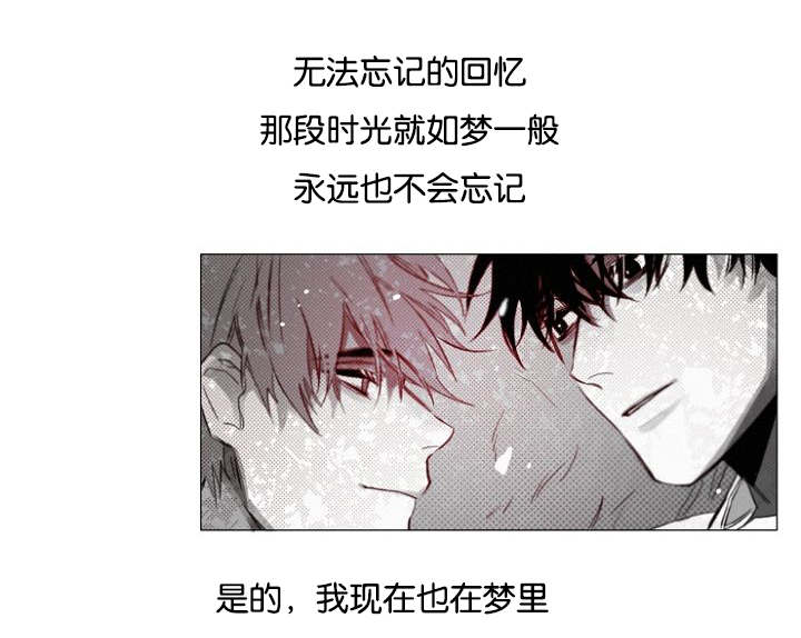 《近凶》漫画最新章节第32章：一起回去吧免费下拉式在线观看章节第【3】张图片