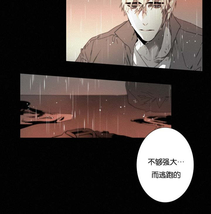 《近凶》漫画最新章节第32章：一起回去吧免费下拉式在线观看章节第【17】张图片