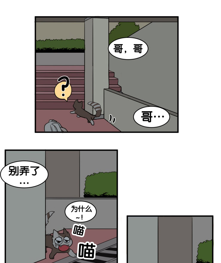 《空巢来风》漫画最新章节第9章：凝视免费下拉式在线观看章节第【21】张图片