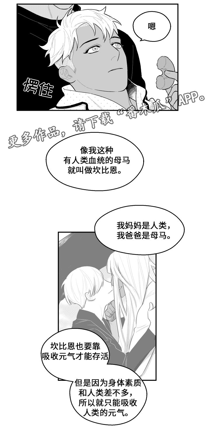 《夜游精灵》漫画最新章节第37章：元气免费下拉式在线观看章节第【5】张图片