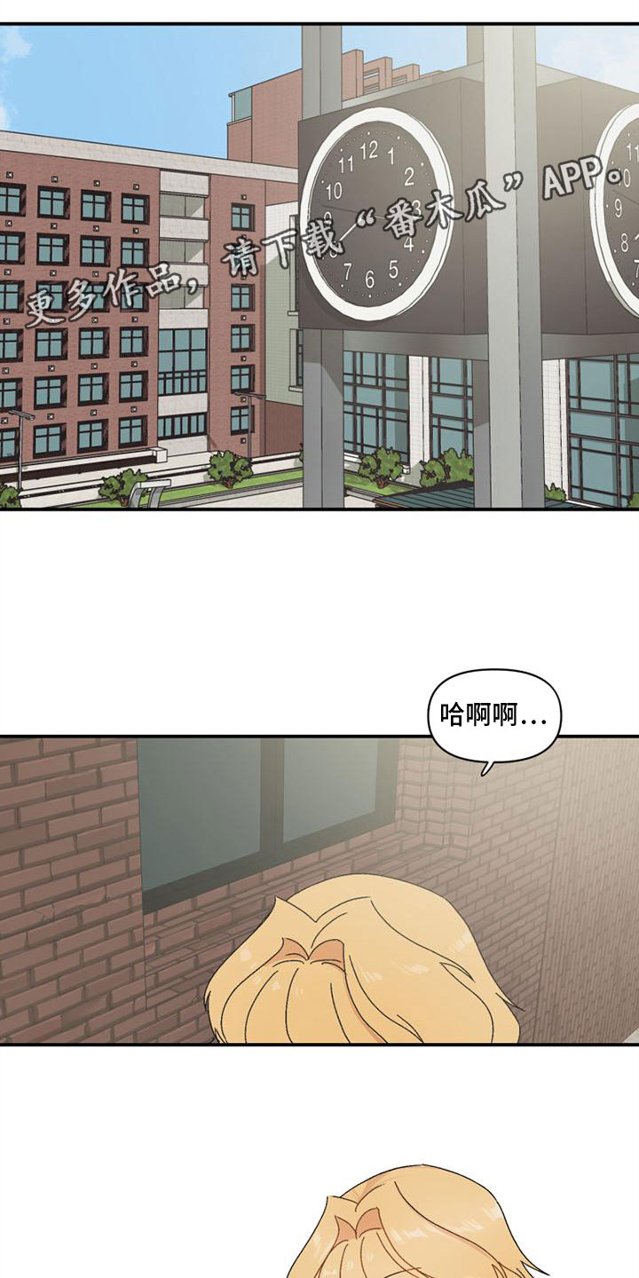 《明星攻略》漫画最新章节第10章：搞笑免费下拉式在线观看章节第【20】张图片