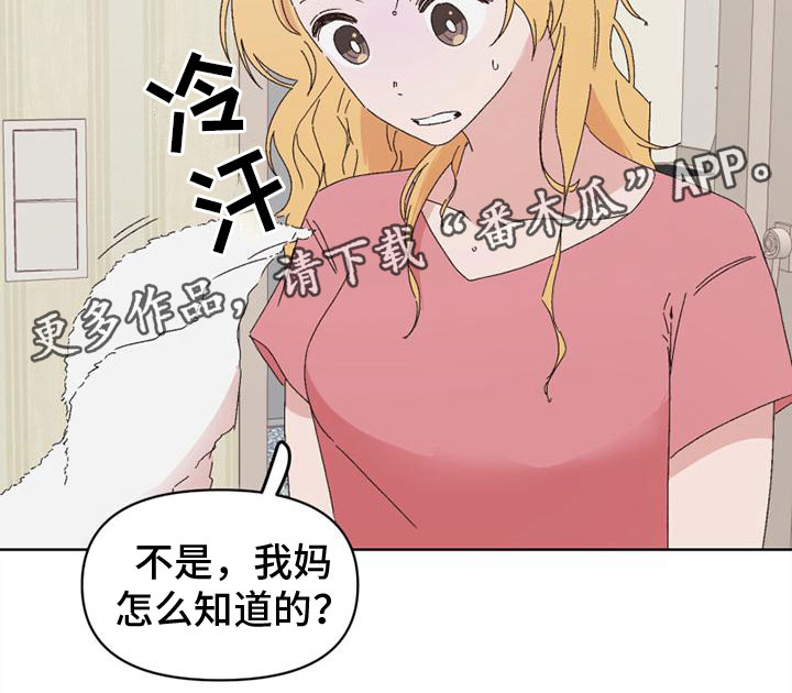 《明星攻略》漫画最新章节第35章：颠倒黑白免费下拉式在线观看章节第【1】张图片