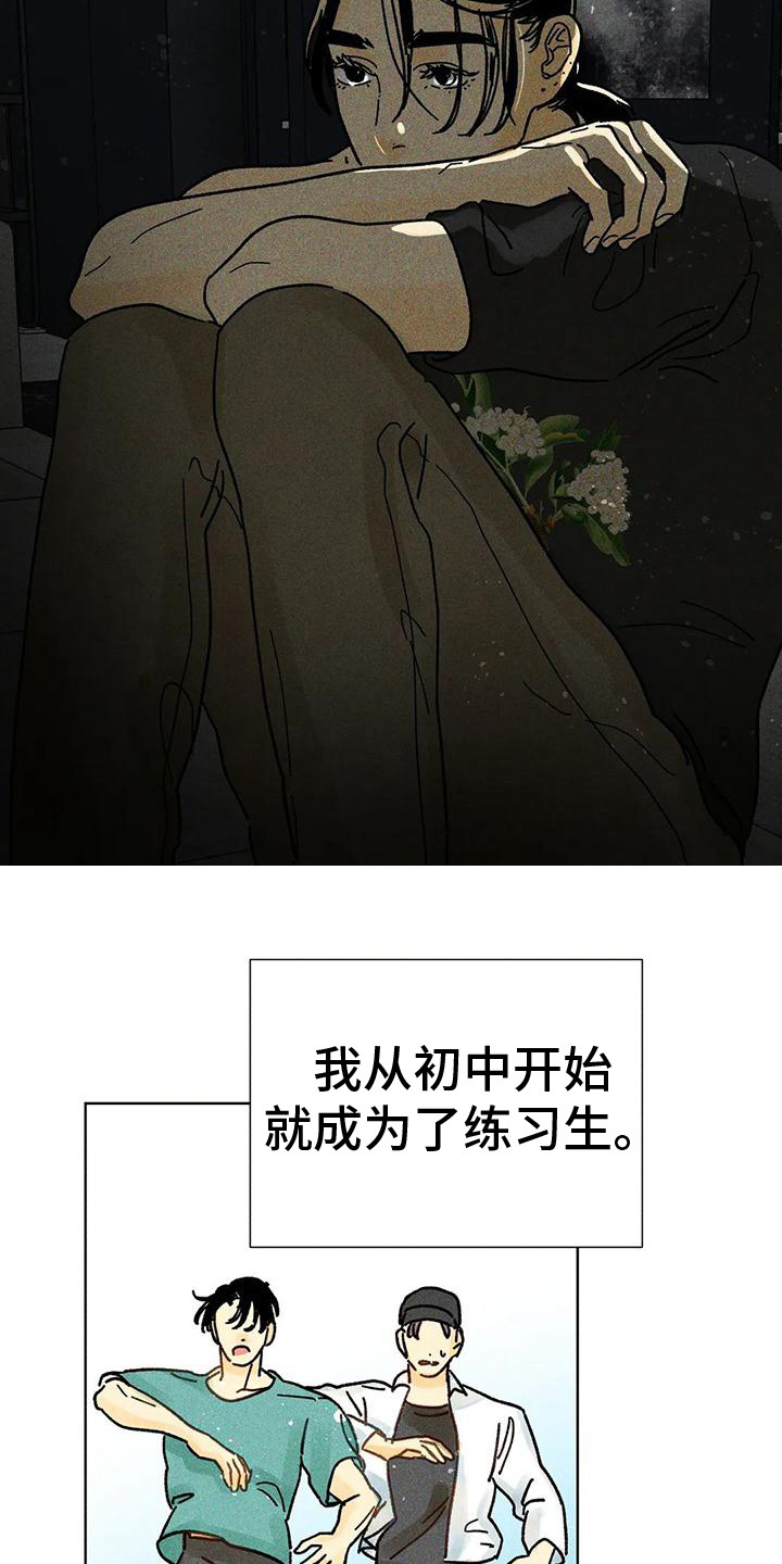 《钻石破碎》漫画最新章节第13章：胡思乱想免费下拉式在线观看章节第【13】张图片