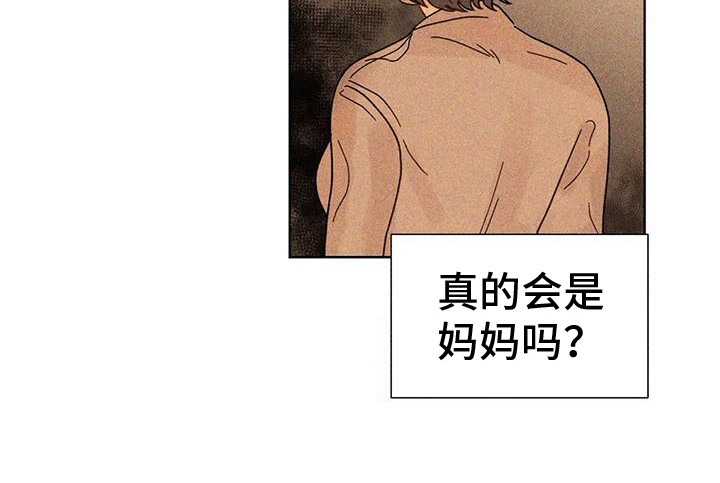 《钻石破碎》漫画最新章节第14章：私信免费下拉式在线观看章节第【11】张图片