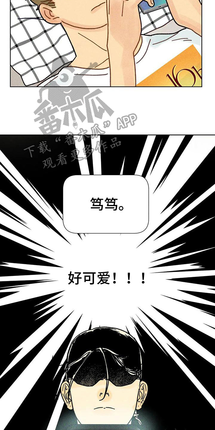 《钻石破碎》漫画最新章节第15章：交流免费下拉式在线观看章节第【14】张图片