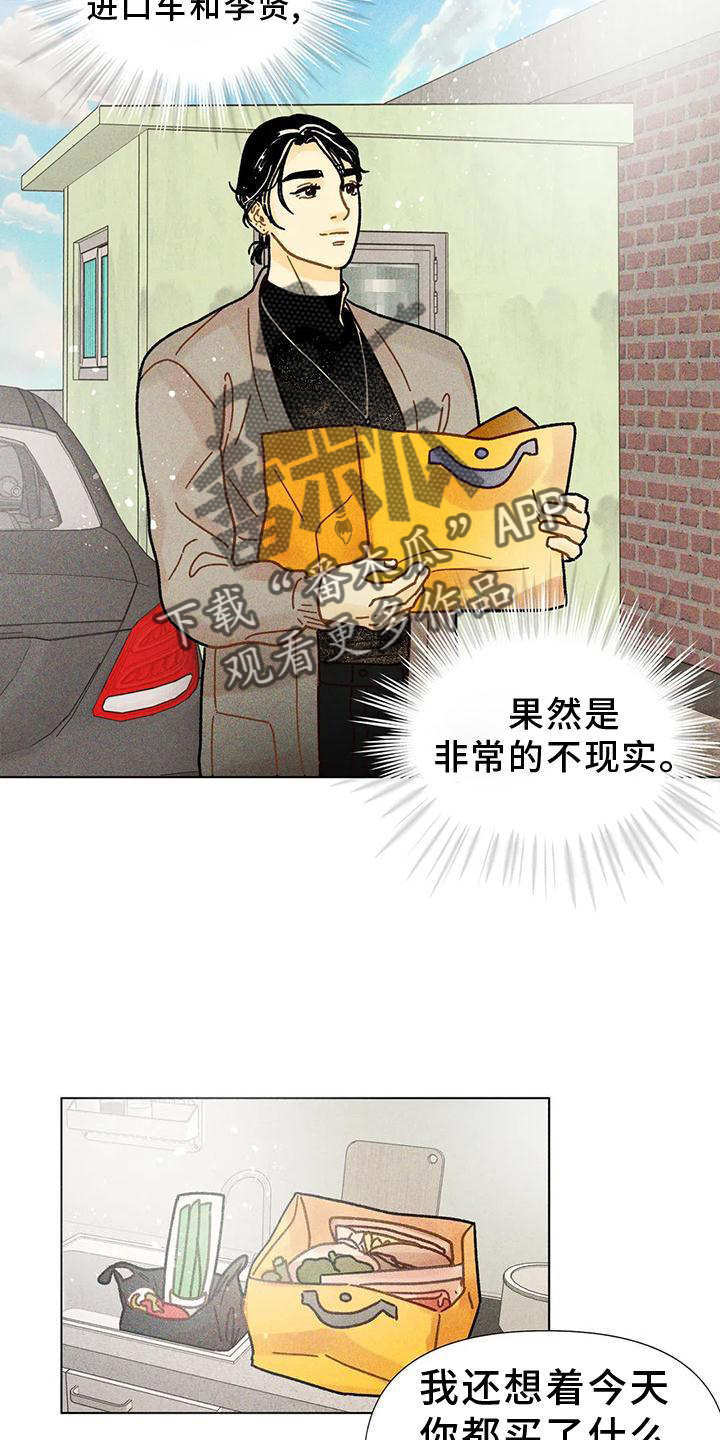 《钻石破碎》漫画最新章节第25章：到底是什么免费下拉式在线观看章节第【20】张图片