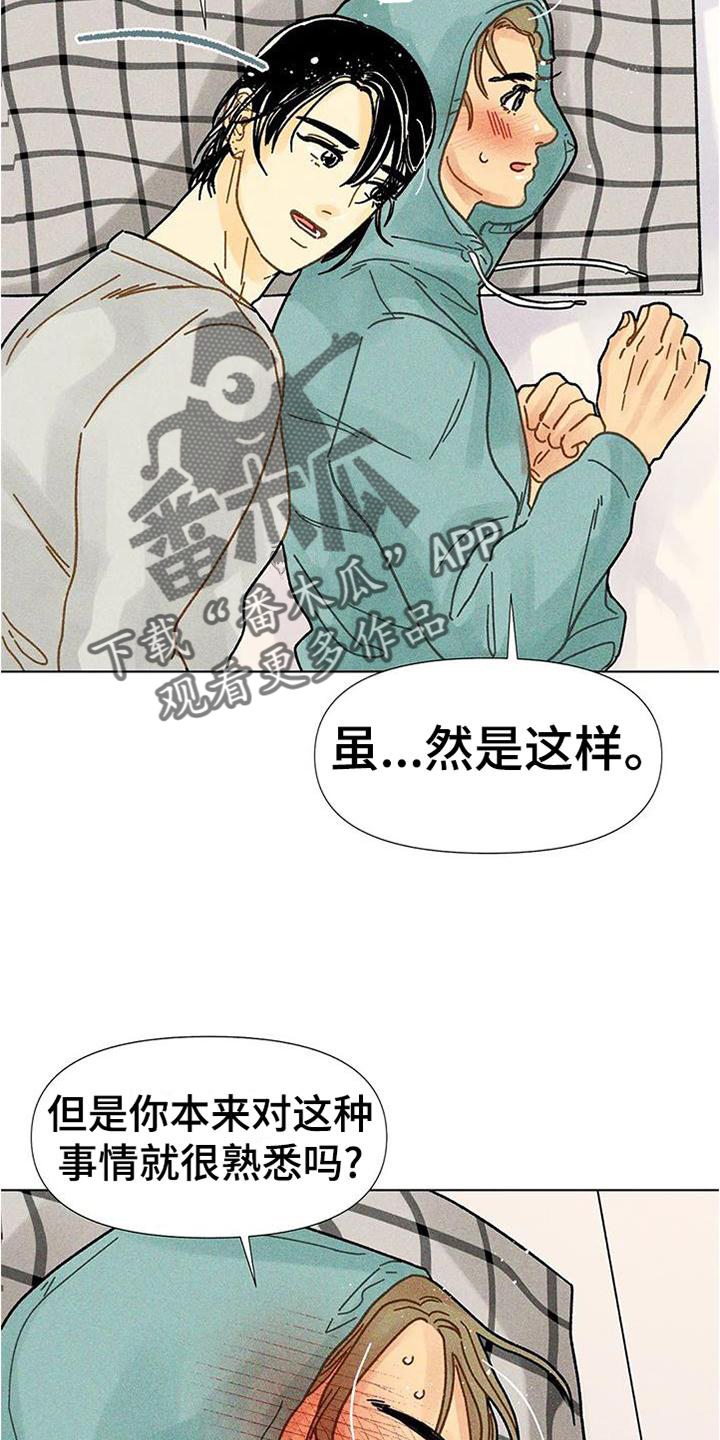 《钻石破碎》漫画最新章节第36章：圣诞快乐免费下拉式在线观看章节第【10】张图片