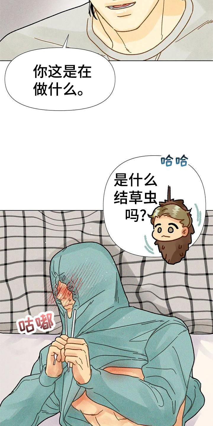 《钻石破碎》漫画最新章节第36章：圣诞快乐免费下拉式在线观看章节第【17】张图片