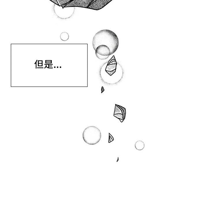 《钻石破碎》漫画最新章节第38章：笔名来历免费下拉式在线观看章节第【24】张图片