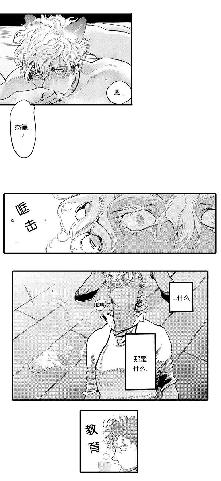 《莱肯》漫画最新章节第16章：结伴而行免费下拉式在线观看章节第【12】张图片