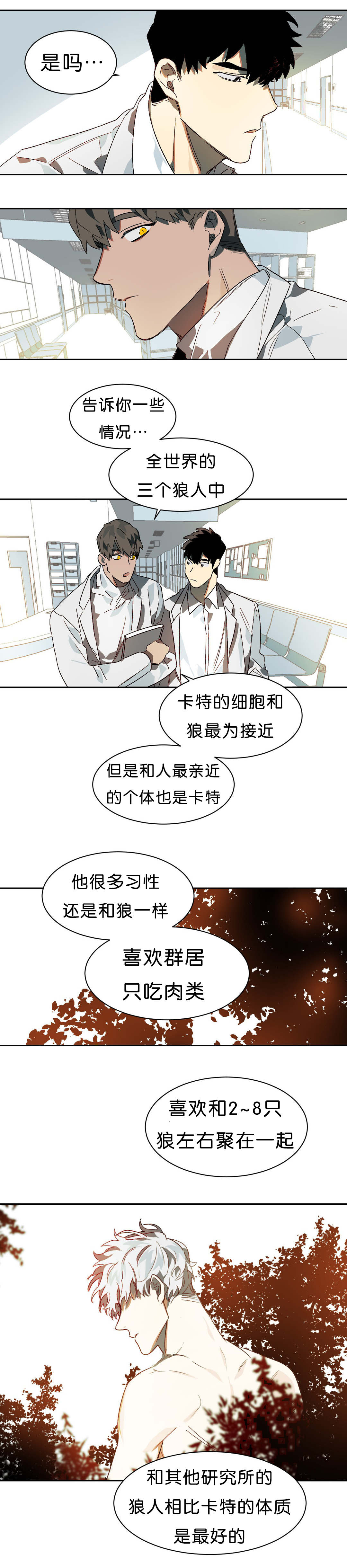 《狼人卡特》漫画最新章节第11章：续杯概念免费下拉式在线观看章节第【4】张图片