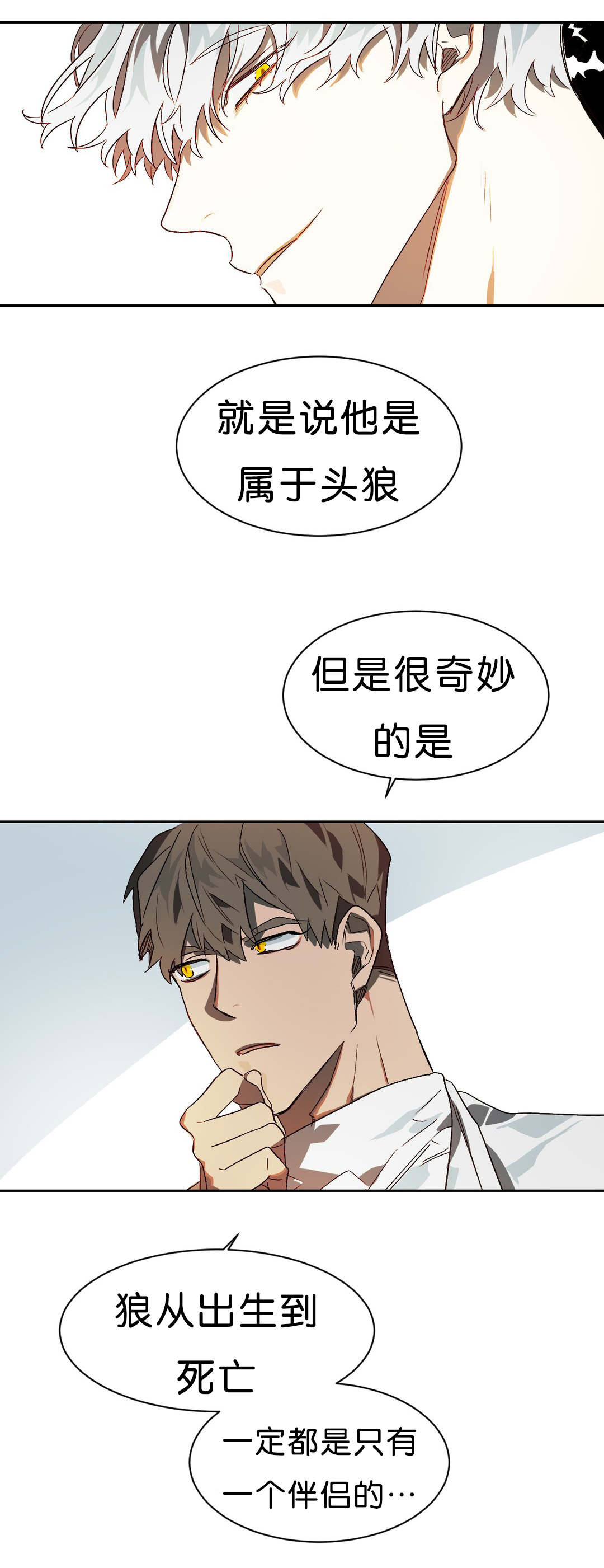 《狼人卡特》漫画最新章节第11章：续杯概念免费下拉式在线观看章节第【3】张图片