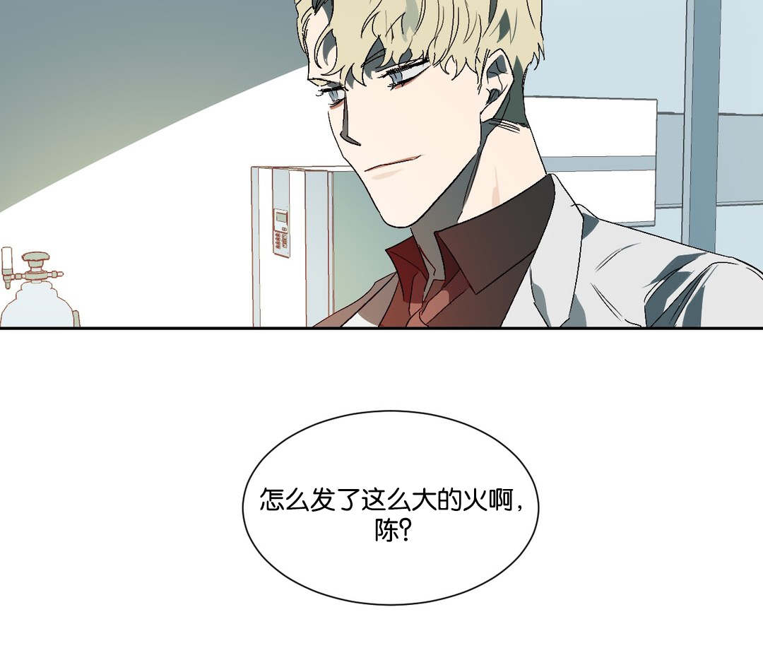 《狼人卡特》漫画最新章节第17章：失望免费下拉式在线观看章节第【6】张图片