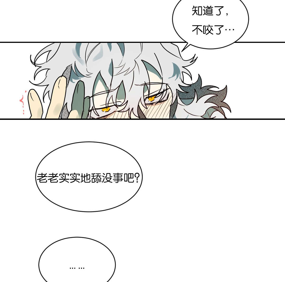 《狼人卡特》漫画最新章节第59章：不要咬免费下拉式在线观看章节第【8】张图片