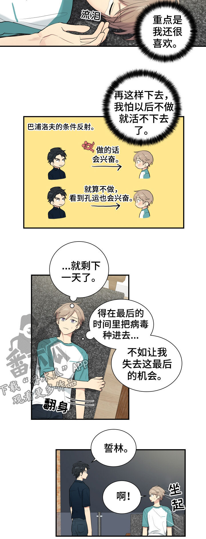 《贴身奸细》漫画最新章节第76章：机会免费下拉式在线观看章节第【4】张图片