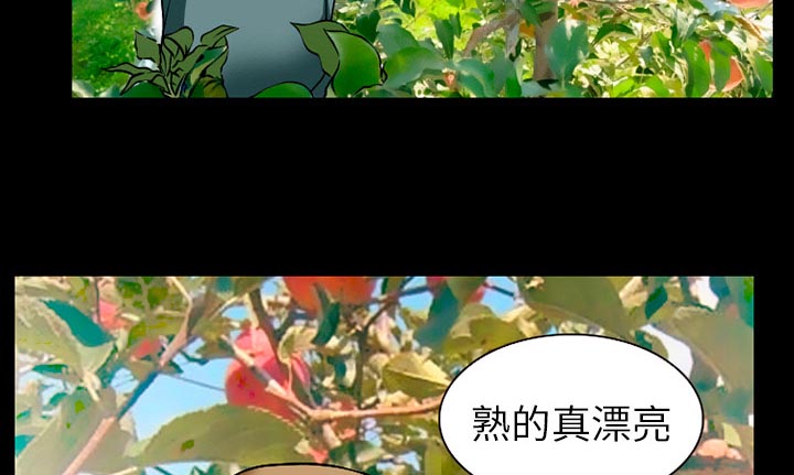 《虚荣与谎言》漫画最新章节第48章：都准备好了免费下拉式在线观看章节第【23】张图片