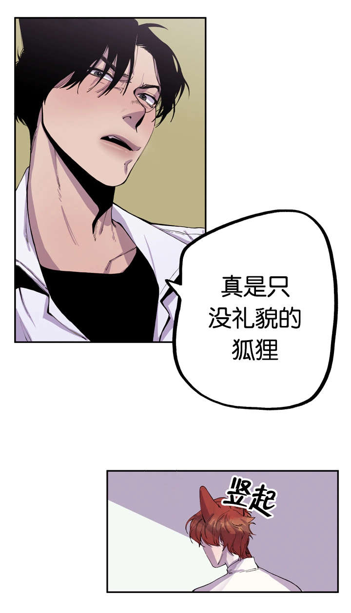 《狐狸的天性》漫画最新章节第6章：寻找狐狸免费下拉式在线观看章节第【11】张图片