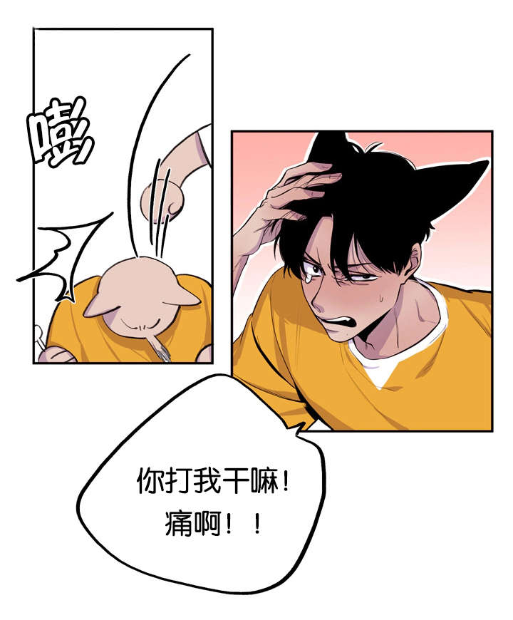 《狐狸的天性》漫画最新章节第8章：心跳加速免费下拉式在线观看章节第【1】张图片