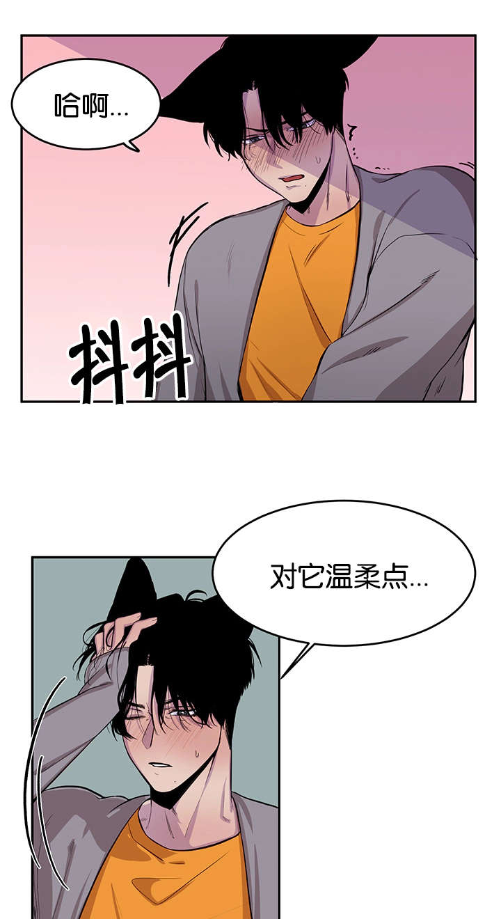 《狐狸的天性》漫画最新章节第11章：口嫌体正直免费下拉式在线观看章节第【12】张图片