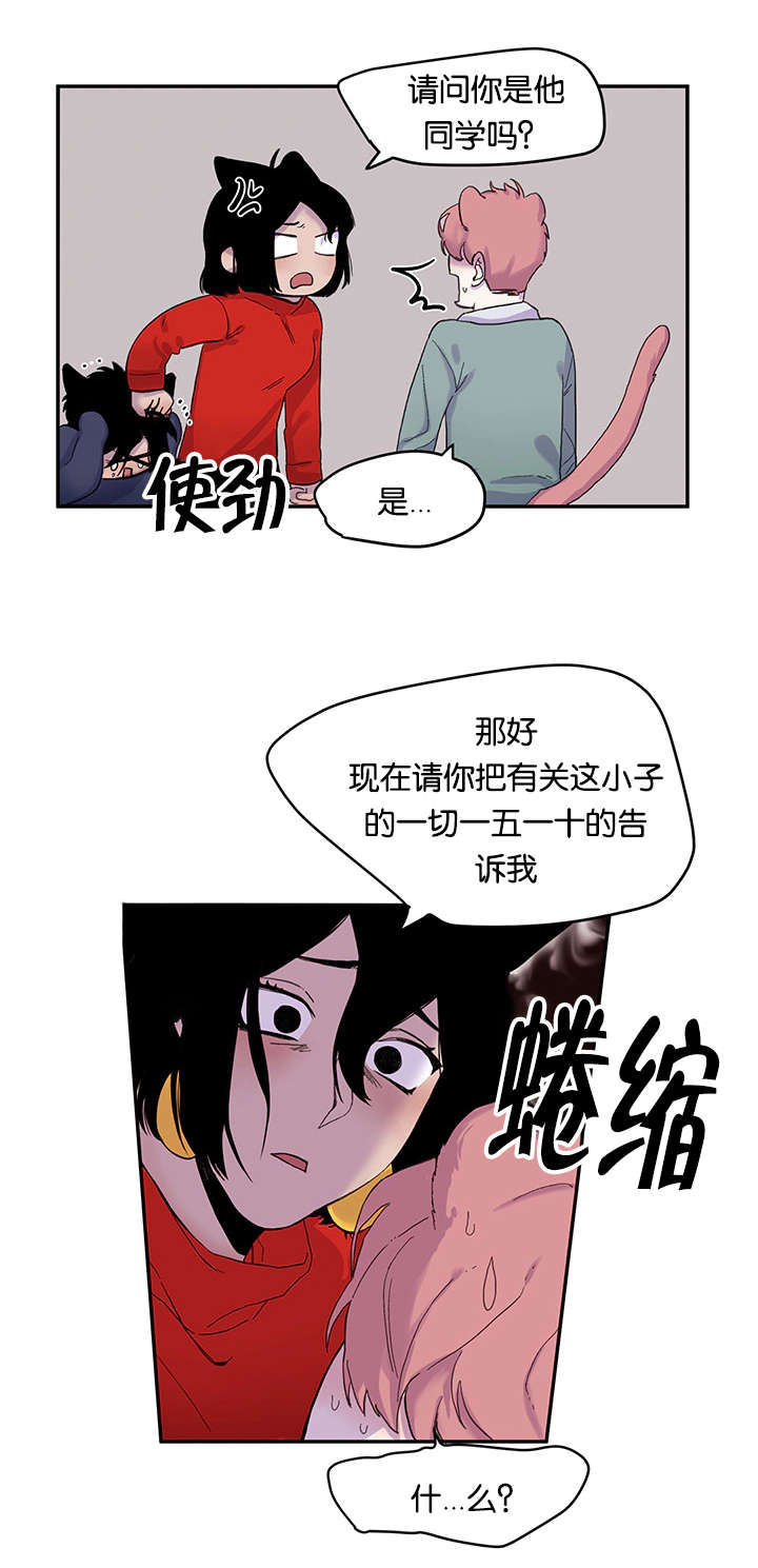 《狐狸的天性》漫画最新章节第20章：姐姐来校抓人了免费下拉式在线观看章节第【12】张图片