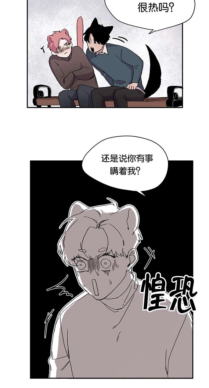 《狐狸的天性》漫画最新章节第21章：说出口了免费下拉式在线观看章节第【6】张图片