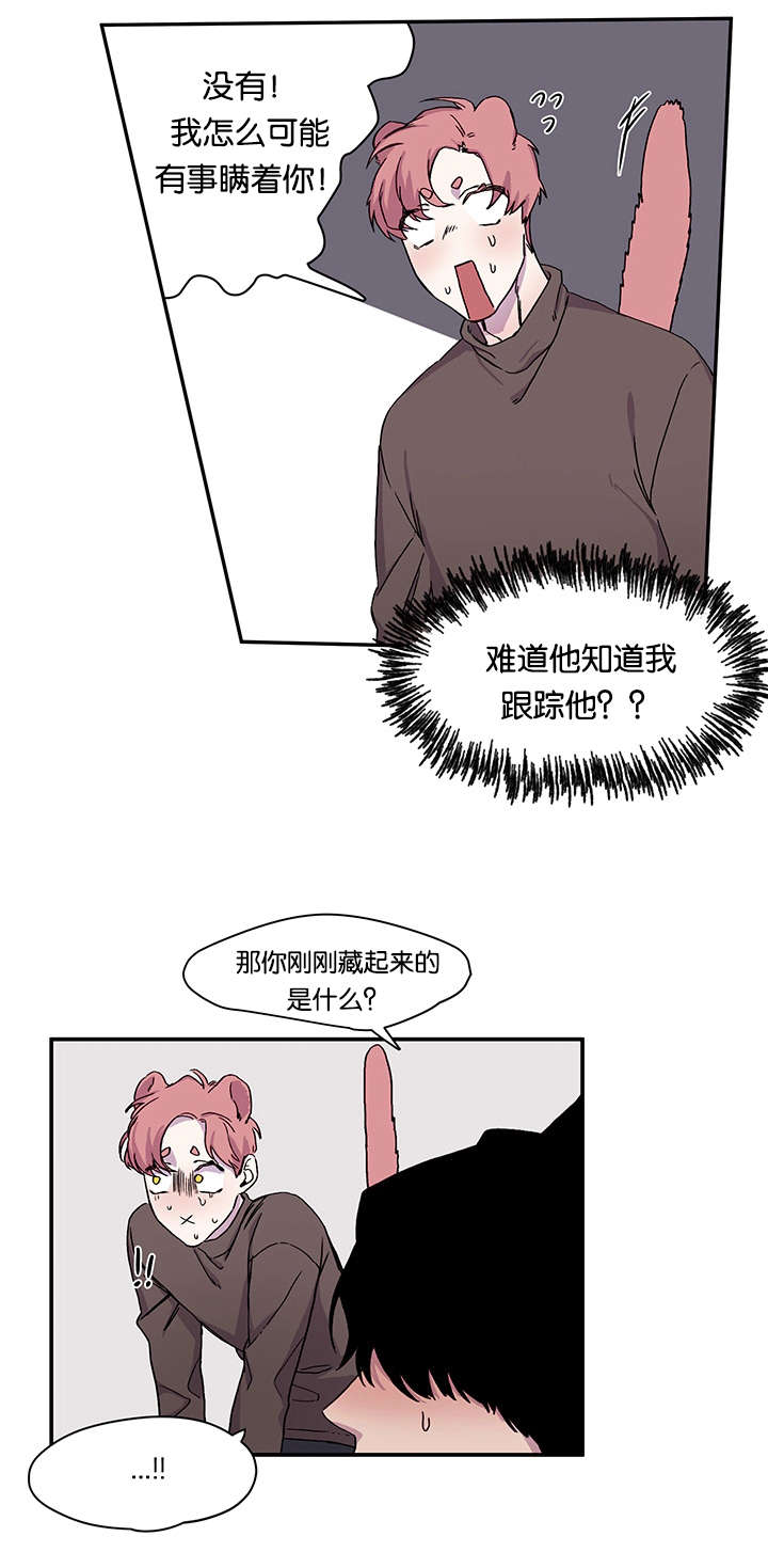 《狐狸的天性》漫画最新章节第21章：说出口了免费下拉式在线观看章节第【5】张图片