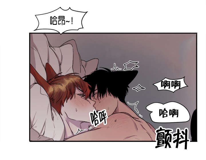 《狐狸的天性》漫画最新章节第26章：不堪回首的过去免费下拉式在线观看章节第【5】张图片