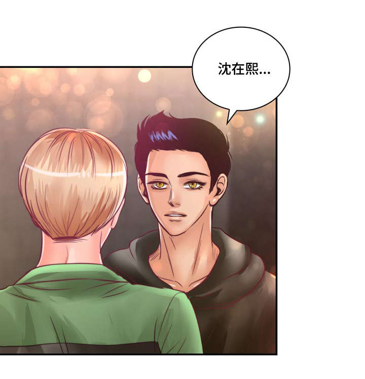 《蝙蝠的悲鸣》漫画最新章节第23章：在我家睡吧免费下拉式在线观看章节第【12】张图片