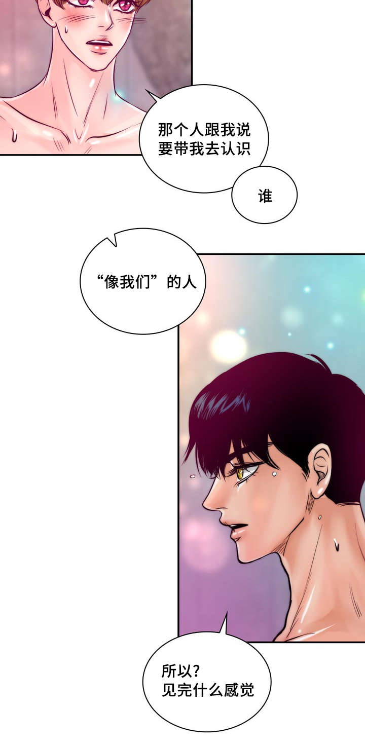 《蝙蝠的悲鸣》漫画最新章节第33章：惩罚免费下拉式在线观看章节第【6】张图片