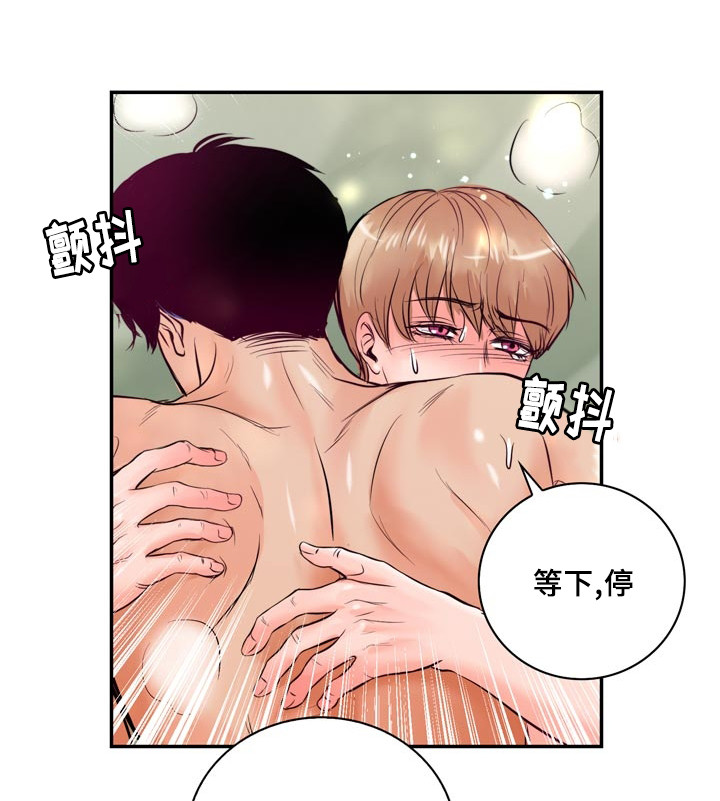 《蝙蝠的悲鸣》漫画最新章节第52章：第一次做饭免费下拉式在线观看章节第【32】张图片