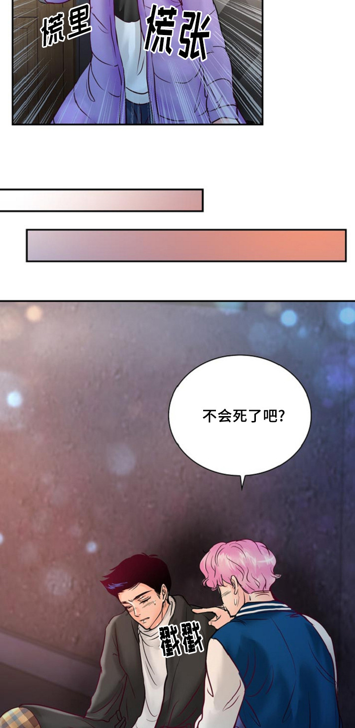 《蝙蝠的悲鸣》漫画最新章节第55章：在路边醉倒免费下拉式在线观看章节第【14】张图片