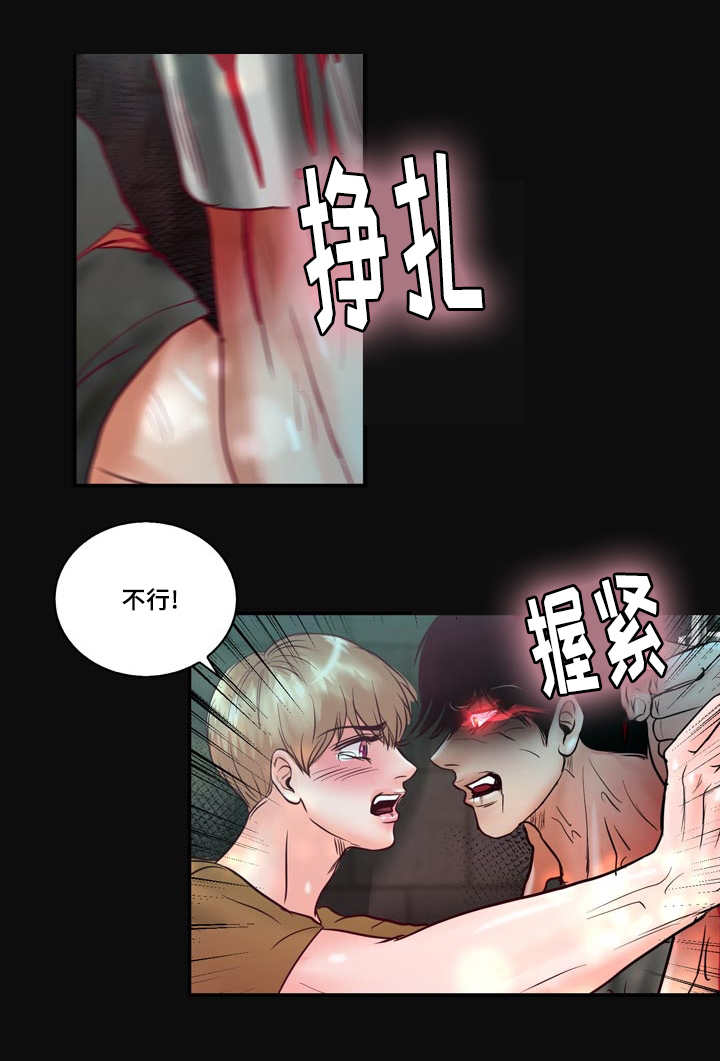 《蝙蝠的悲鸣》漫画最新章节第57章：完结章免费下拉式在线观看章节第【10】张图片