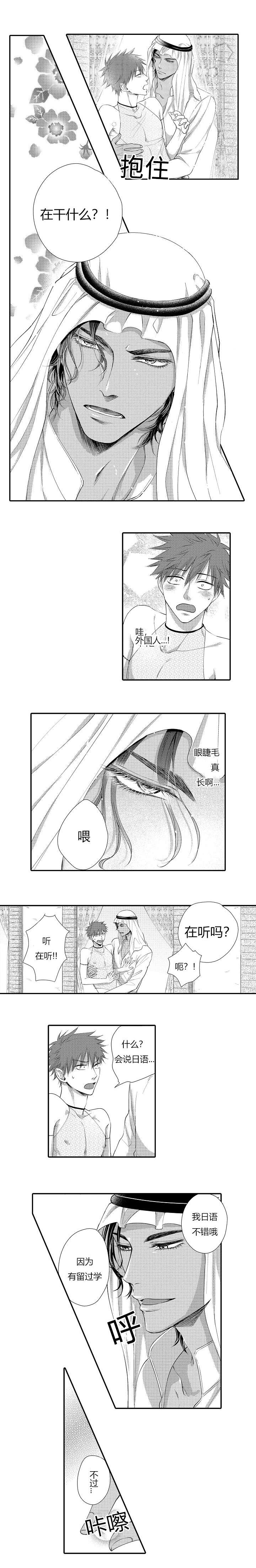 《皇家协议》漫画最新章节第3章：做我的爱妾免费下拉式在线观看章节第【3】张图片