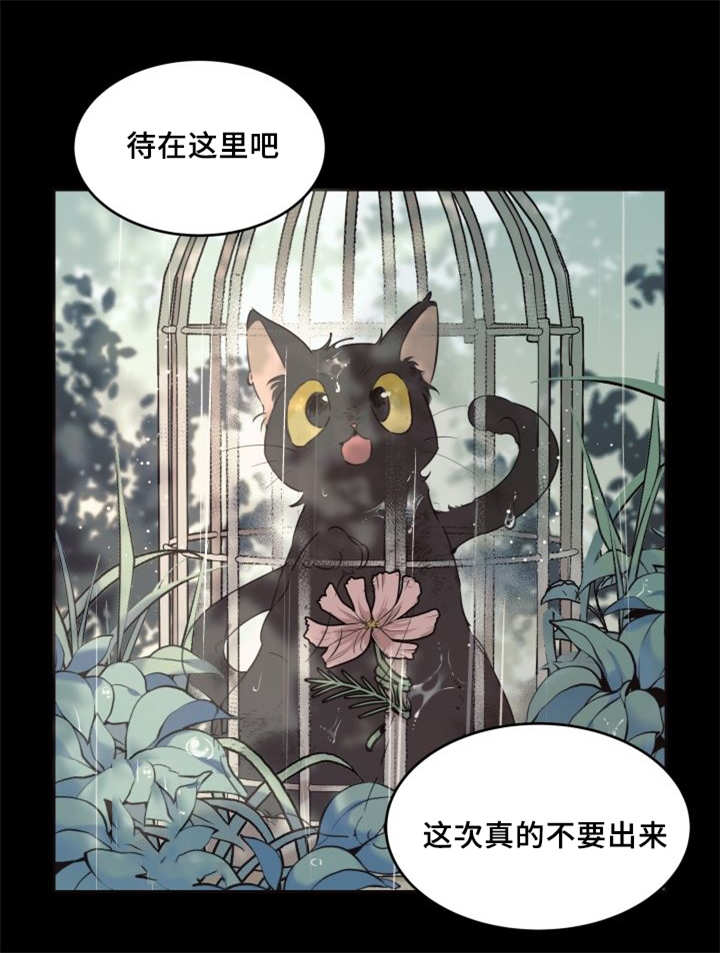 猫的项圈-第27章：新的猫咪全彩韩漫标签