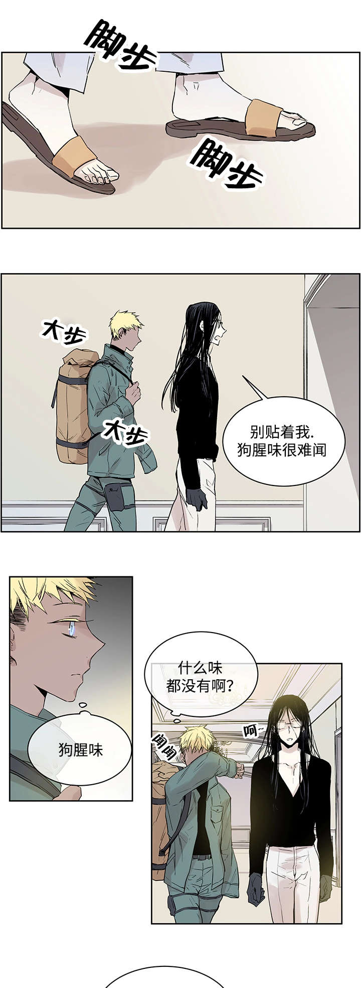 《巫师与狼》漫画最新章节第1章：一只狼免费下拉式在线观看章节第【9】张图片