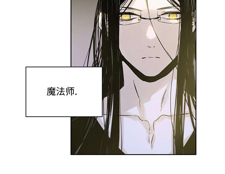 《巫师与狼》漫画最新章节第4章：世界树果实免费下拉式在线观看章节第【5】张图片