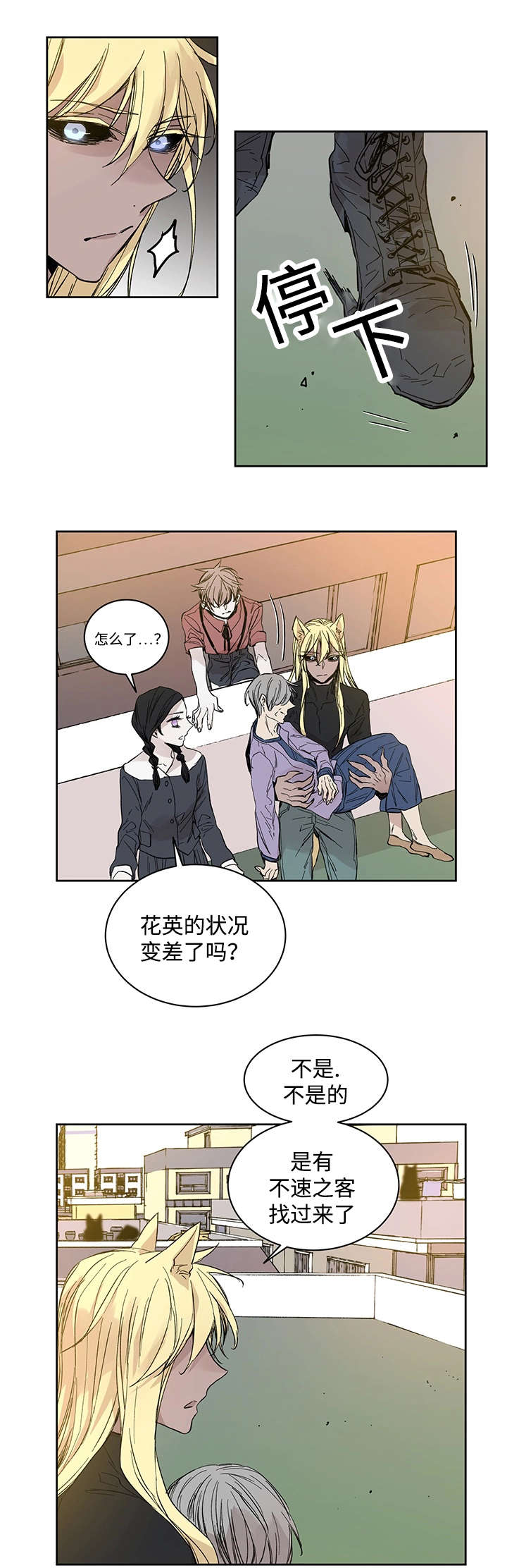 《巫师与狼》漫画最新章节第20章：伊雷穆斯免费下拉式在线观看章节第【14】张图片