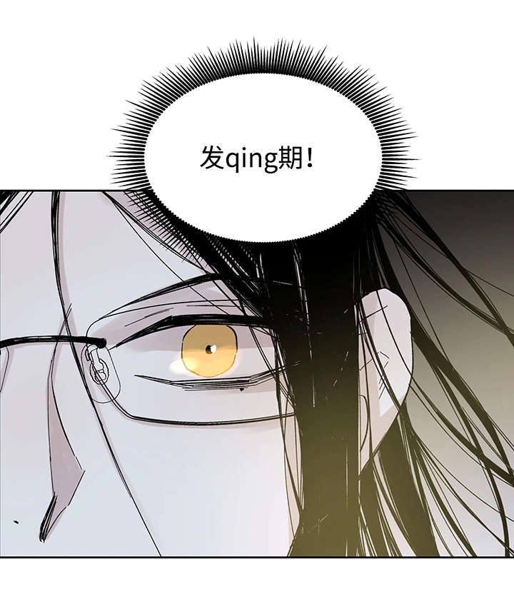 《巫师与狼》漫画最新章节第27章：月色醉人免费下拉式在线观看章节第【1】张图片