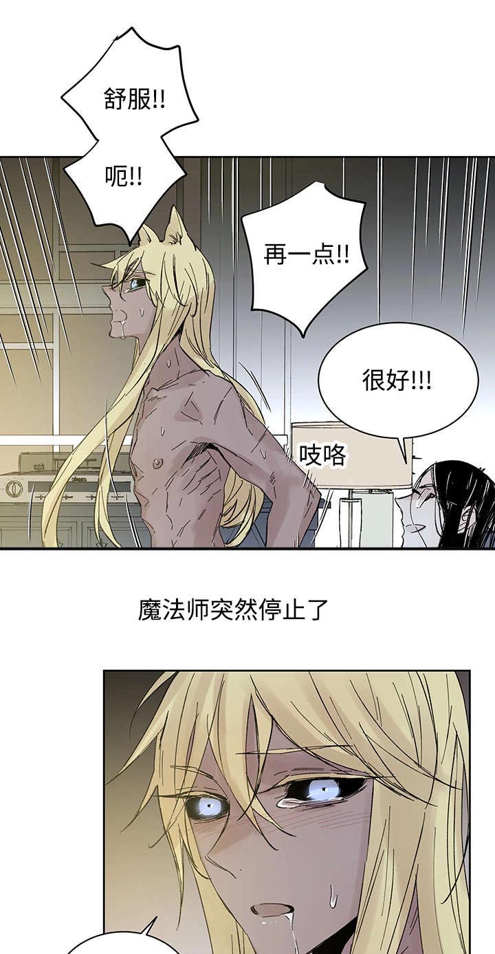 《巫师与狼》漫画最新章节第28章：失去理性免费下拉式在线观看章节第【7】张图片