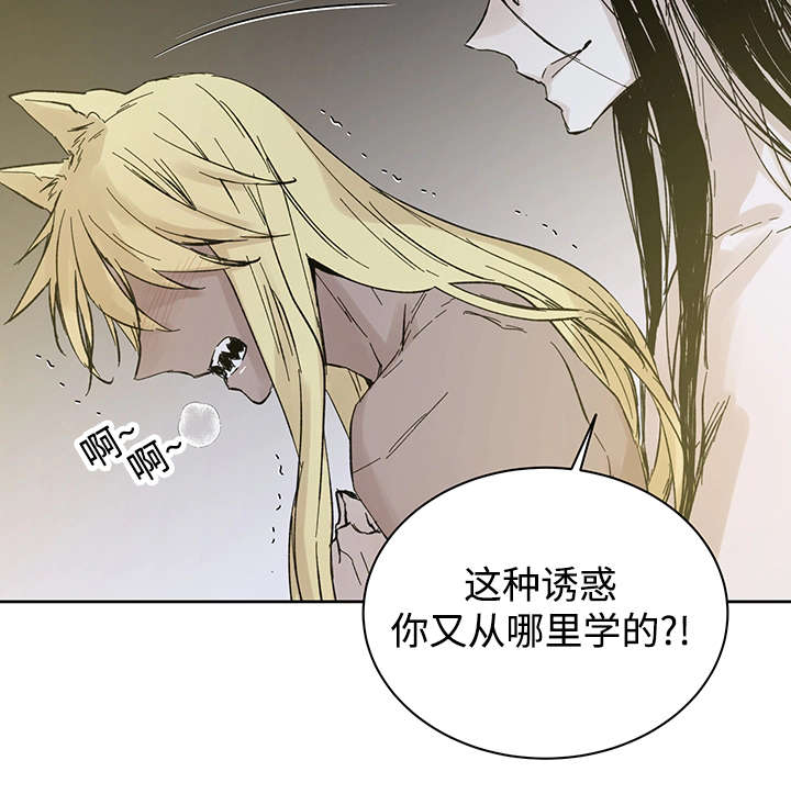 《巫师与狼》漫画最新章节第29章：没力气说话为止免费下拉式在线观看章节第【14】张图片