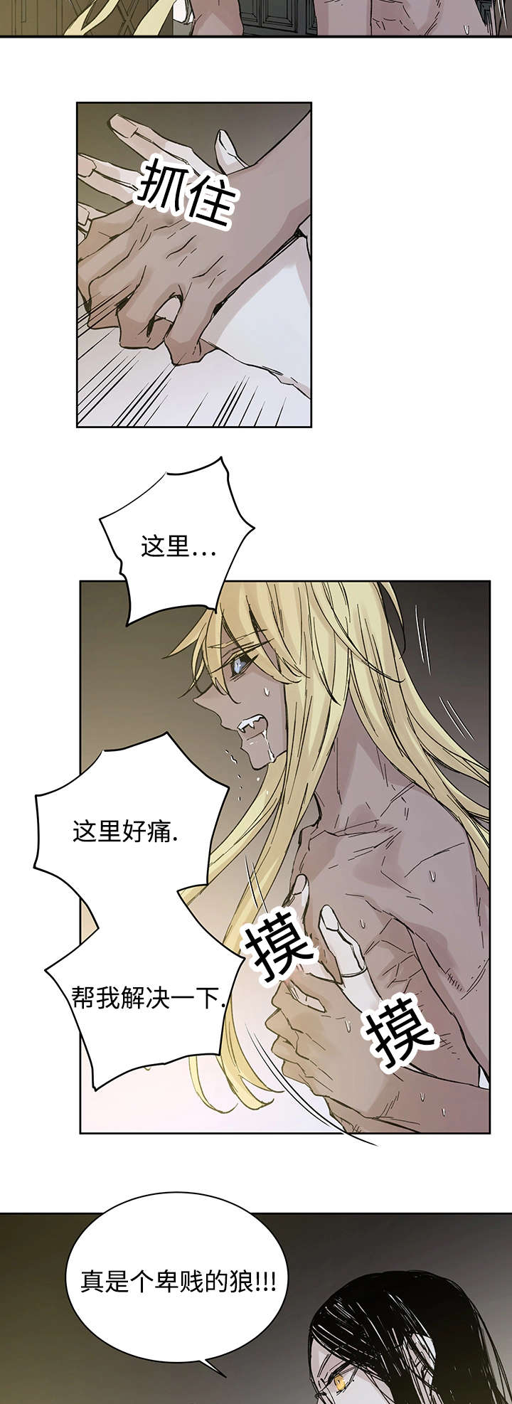 《巫师与狼》漫画最新章节第29章：没力气说话为止免费下拉式在线观看章节第【15】张图片