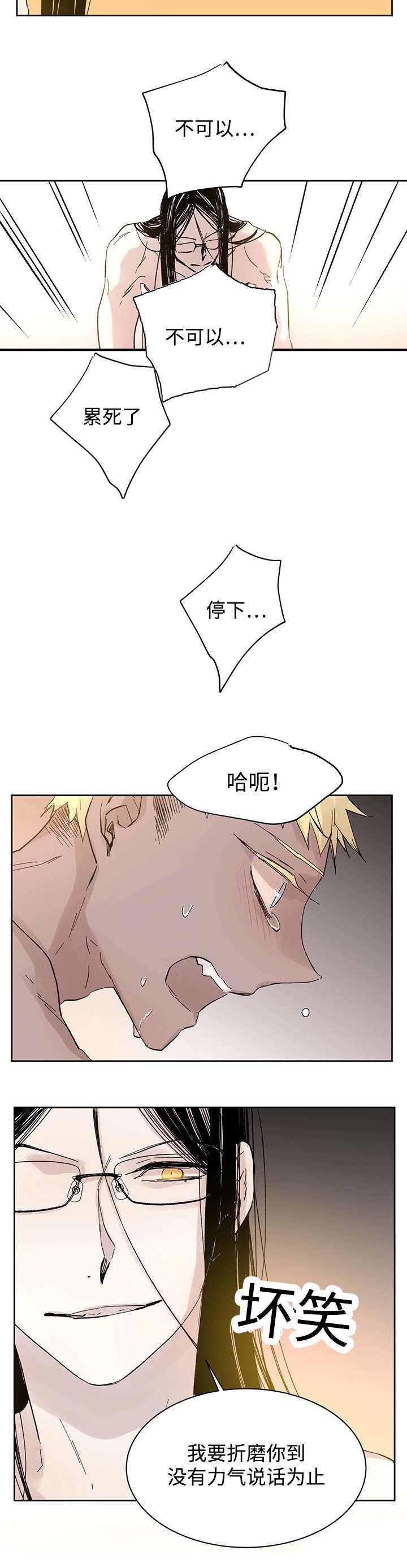 《巫师与狼》漫画最新章节第29章：没力气说话为止免费下拉式在线观看章节第【1】张图片